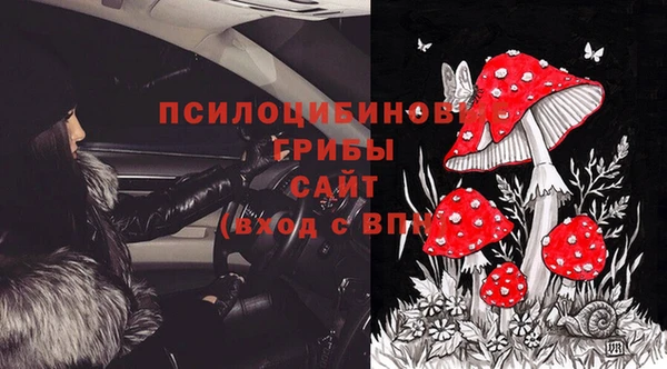 гидра Баксан