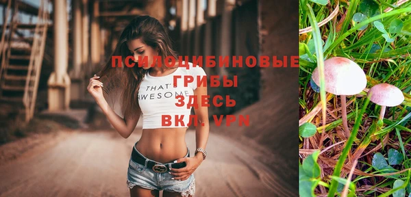 каннабис Беломорск