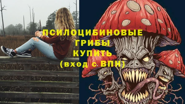 каннабис Беломорск