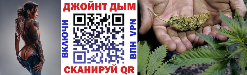 Канабис сатива Туран